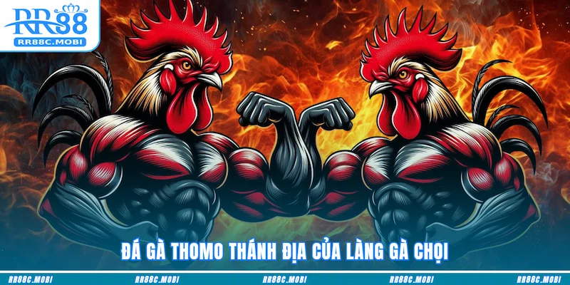 Đá Gà Thomo thánh địa của làng gà chọi